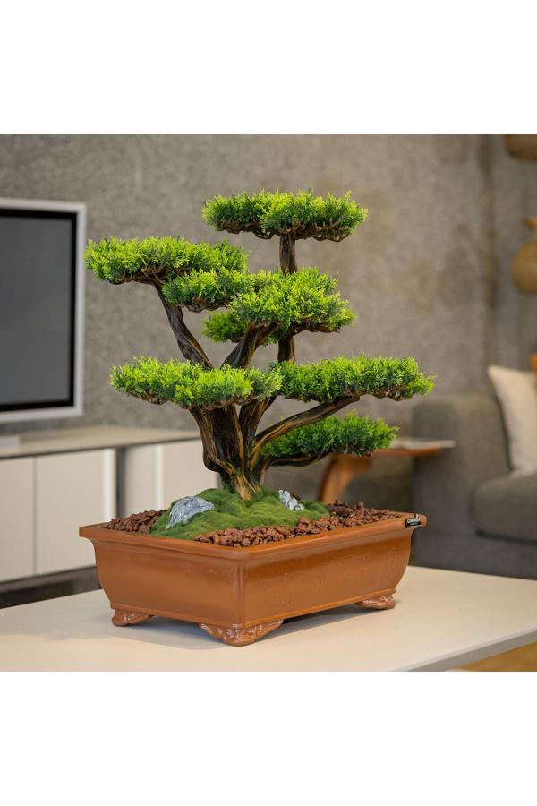 Omnia Concept Atlas Bonsai-1 Masaüstü Kullanıma Uygun Doğal Ağaç Gövdeli Yapay Bonsai Ağacı - 50X60 Cm - Image 1