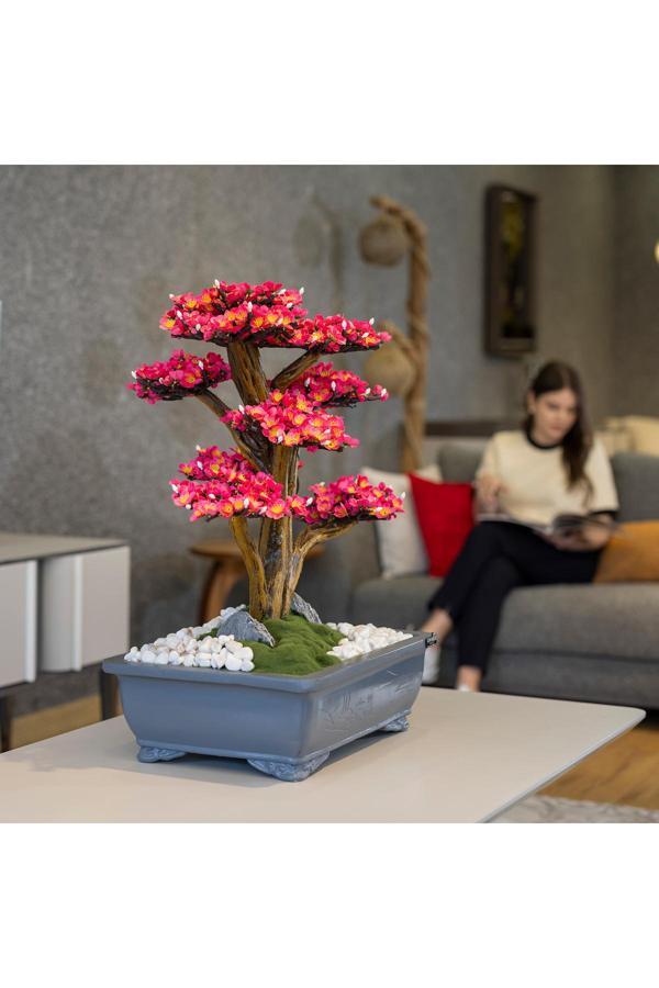 Omnia Concept Atlas Bonsai-2-1 Masaüstü Kullanıma Uygun Doğal Ağaç Gövdeli Yapay Bonsai Ağacı - 50X60 Cm - Image 1