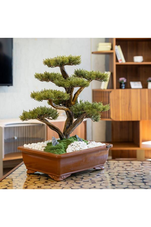 Omnia Concept Atlas Bonsai-4 Masaüstü Kullanıma Uygun Doğal Ağaç Gövdeli Yapay Bonsai Ağacı - 50X60 Cm - Image 1
