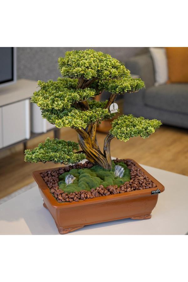 Omnia Concept Atlas Bonsai-5 Masaüstü Kullanıma Uygun Doğal Ağaç Gövdeli Yapay Bonsai Ağacı - 50X60 Cm - Image 1