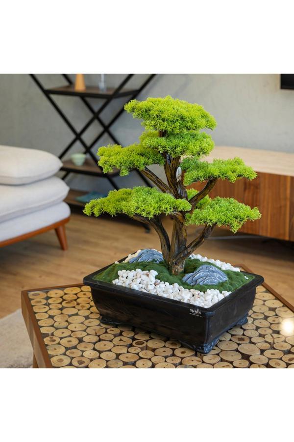 Omnia Concept Atlas Bonsai-6 Masaüstü Kullanıma Uygun Doğal Ağaç Gövdeli Yapay Bonsai Ağacı - 50X60 Cm - Image 1