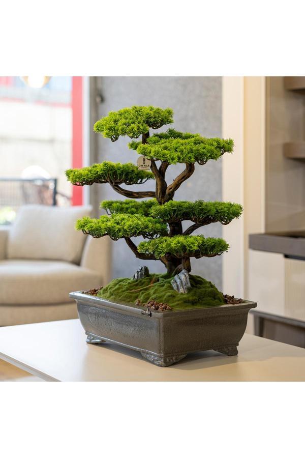 Omnia Concept Atlas Bonsai-7 Masaüstü Kullanıma Uygun Doğal Ağaç Gövdeli Yapay Bonsai Ağacı - 50X60 Cm - Image 1