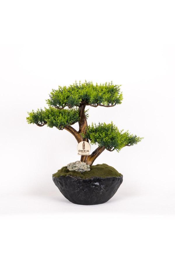 Omnia Concept Calipso Bonsai-1 Masaüstü Kullanıma Uygun Mini Yapay Bonsai Ağacı - 30X40 Cm - Image 1