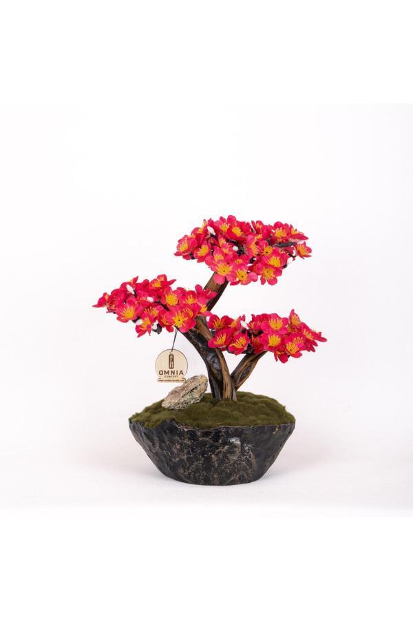 Omnia Concept Calipso Bonsai-2-1 Masaüstü Kullanıma Uygun Mini Yapay Bonsai Ağacı - 30X40 Cm - Image 1