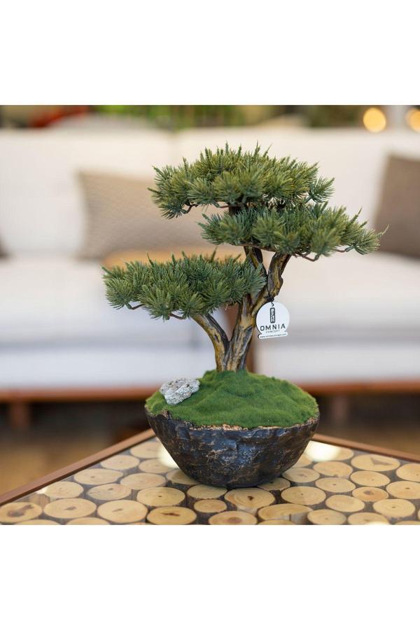 Omnia Concept Calipso Bonsai-4 Masaüstü Kullanıma Uygun Mini Yapay Bonsai Ağacı - 30X40 Cm - Image 1