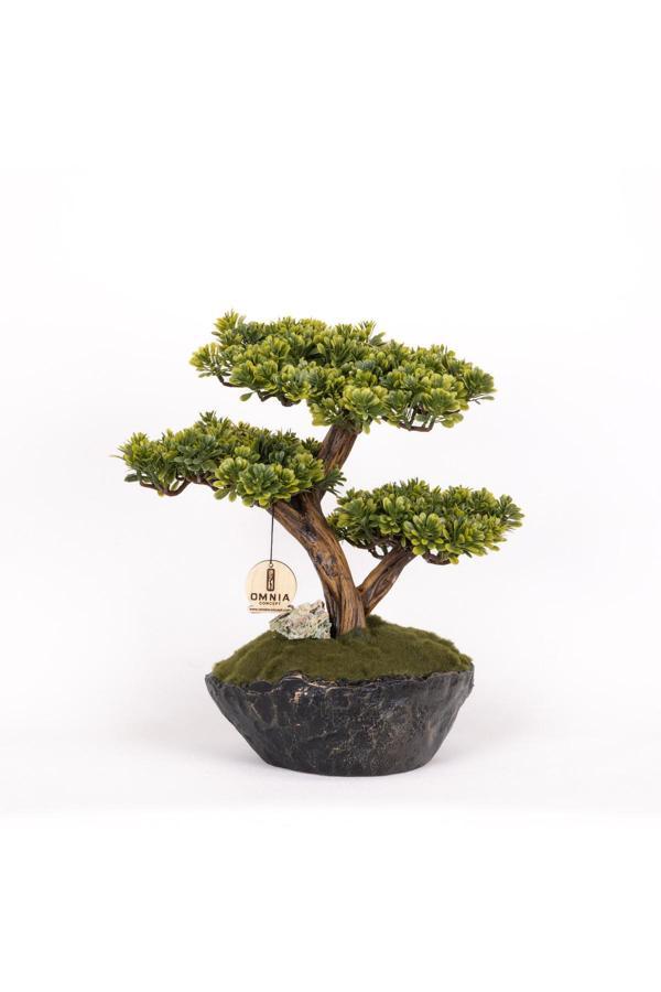 Omnia Concept Calipso Bonsai-5 Masaüstü Kullanıma Uygun Mini Yapay Bonsai Ağacı - 30X40 Cm - Image 1