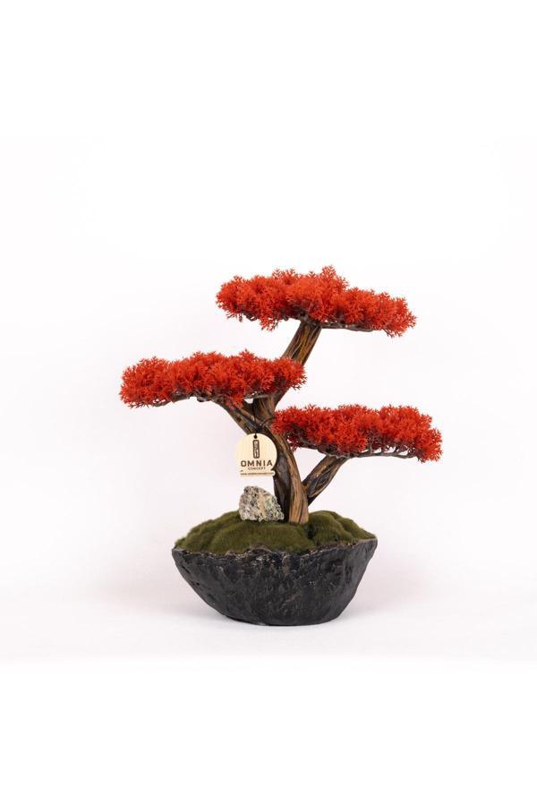 Omnia Concept Calipso Bonsai-6-1 Masaüstü Kullanıma Uygun Mini Yapay Bonsai Ağacı - 30X40 Cm - Image 1