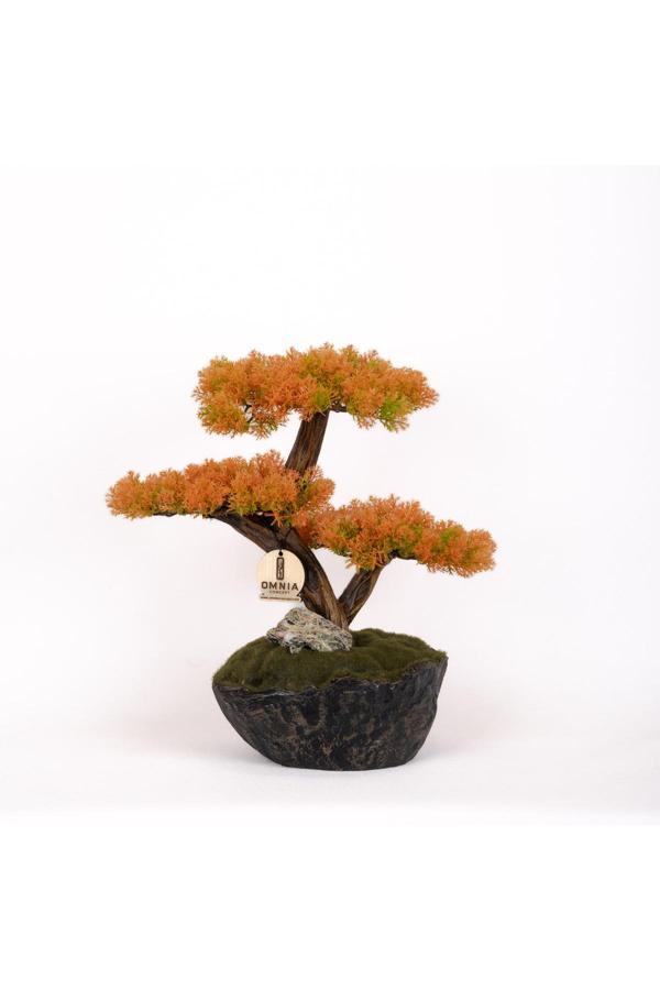 Omnia Concept Calipso Bonsai-6-2 Masaüstü Kullanıma Uygun Mini Yapay Bonsai Ağacı - 30X40 Cm - Image 1