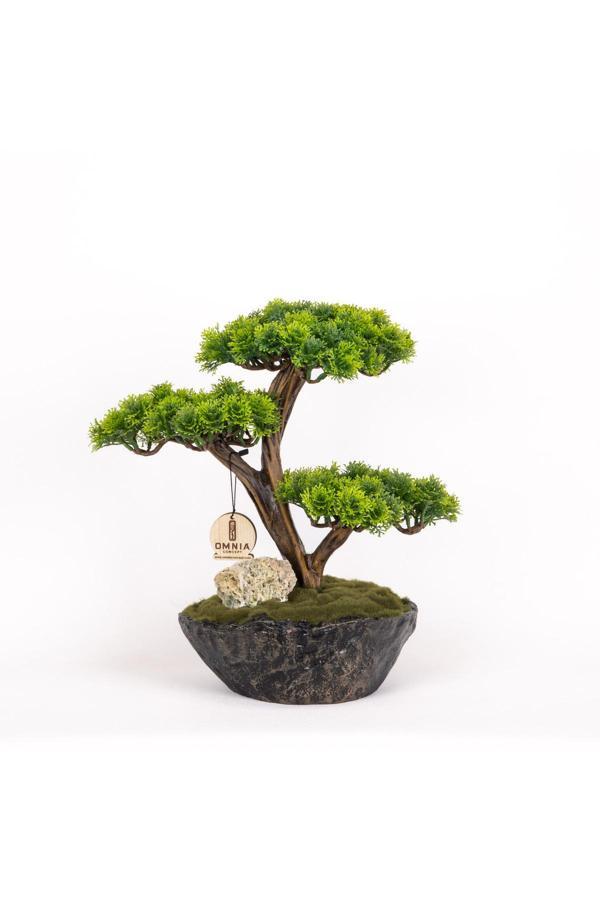 Omnia Concept Calipso Bonsai-7 Masaüstü Kullanıma Uygun Mini Yapay Bonsai Ağacı - 30X40 Cm - Image 1