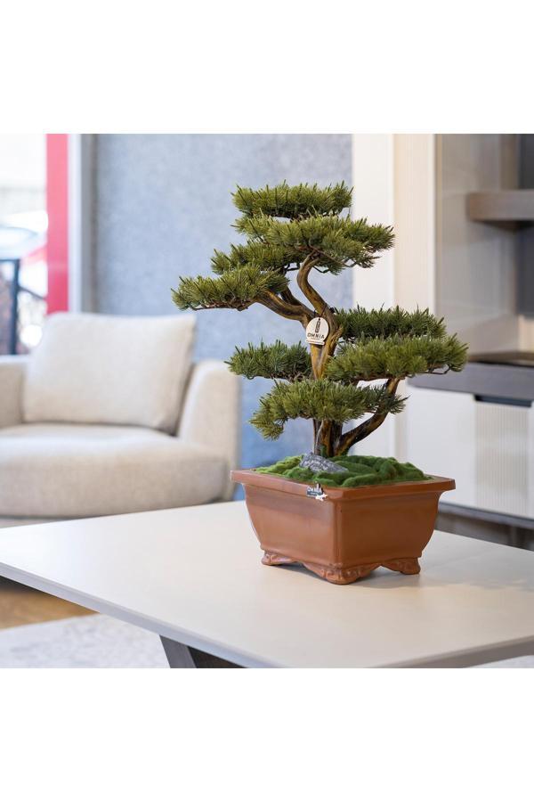 Omnia Concept Flora Bonsai-4 Masaüstü Kullanıma Uygun Doğal Ağaç Gövdeli Yapay Bonsai Ağacı - 40X50 Cm - Image 1