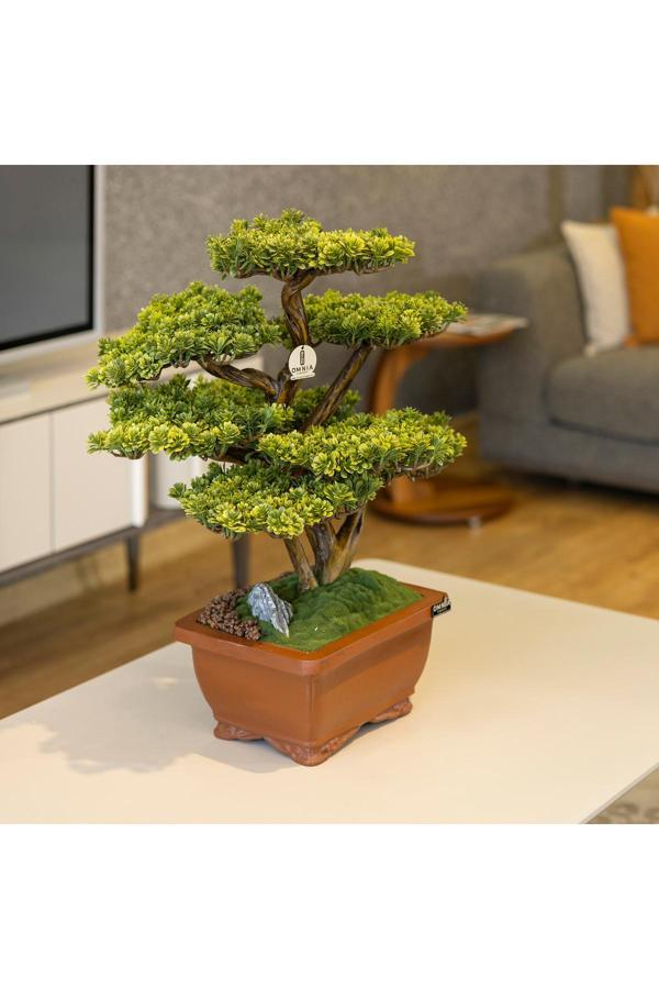 Omnia Concept Flora Bonsai-5 Masaüstü Kullanıma Uygun Doğal Ağaç Gövdeli Yapay Bonsai Ağacı - 40X50 Cm - Image 1