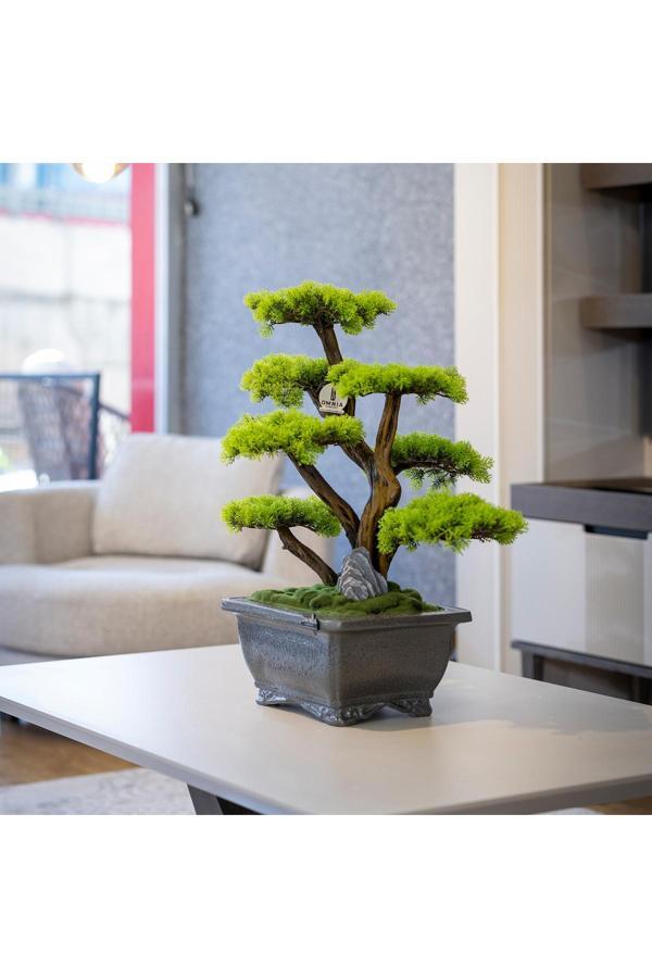 Omnia Concept Flora Bonsai-6 Masaüstü Kullanıma Uygun Doğal Ağaç Gövdeli Yapay Bonsai Ağacı - 40X50 Cm - Image 1
