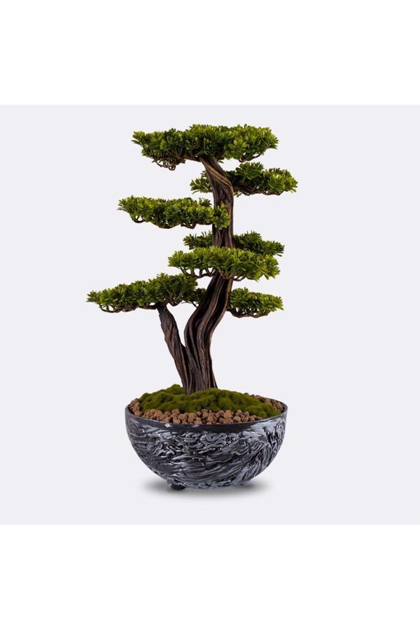Omnia Concept Galatea Thuja-5 Masaüstü Kullanıma Uygun Doğal Ağaç Gövdeli Yapay Bonsai Ağacı - 45X60 Cm - Image 1