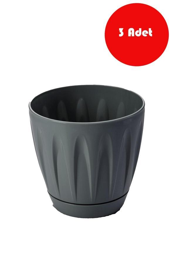 3 Adet 3 Litre Siyah Renk Papatya  Saksı - P003BLCK - Image 1