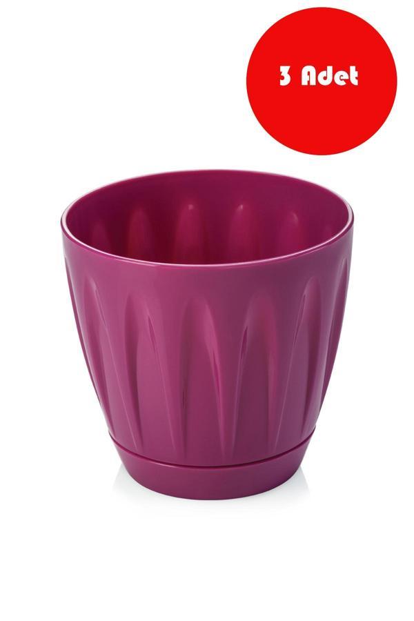 3 Adet 3  Litre Vişne Rengi Papatya  Saksı - P003V - Image 1
