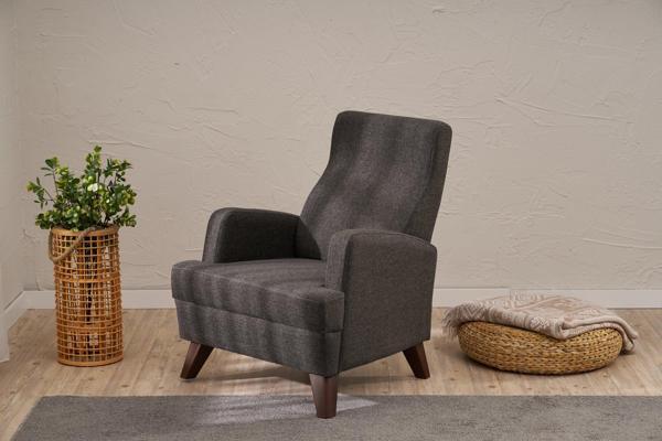 Aly Serisi Tekli Koltuk Antrasit - Image 1