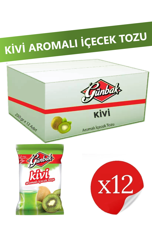 Günbak Kivi Aromalı İçecek Tozu 250 gr x 12 Adet - Image 1