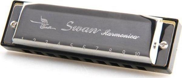 SW1020 SWAN 10 DELİKLİ MIZIKA ( KUTUSUZ) - Image 1