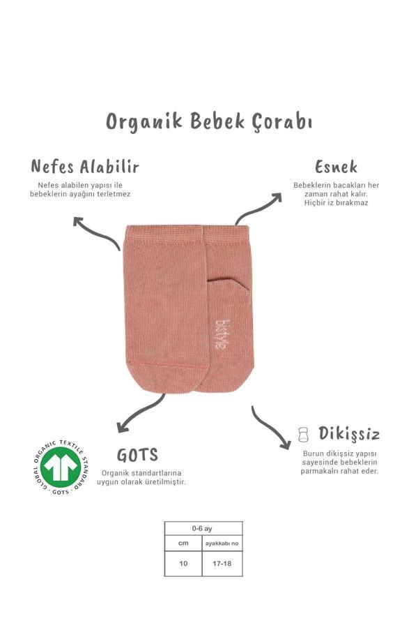 Bistyle 5'li Penye Soket Kutulu Basic Çorap 10131 Pudra - Image 1