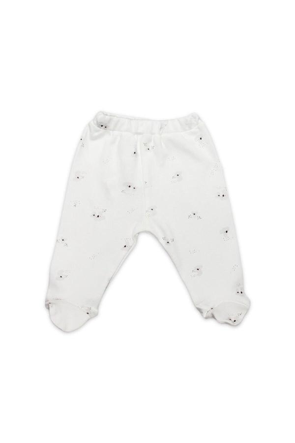 Bistyle Patikli Alt Lıttle Koala 16117 Gri - Image 1