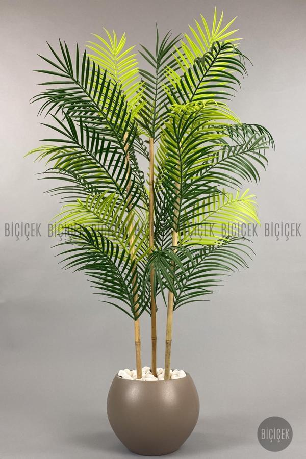 Biçiçek 120Cm Areka Ağacı 24 Yapraklı Küre Saksıda - Image 1