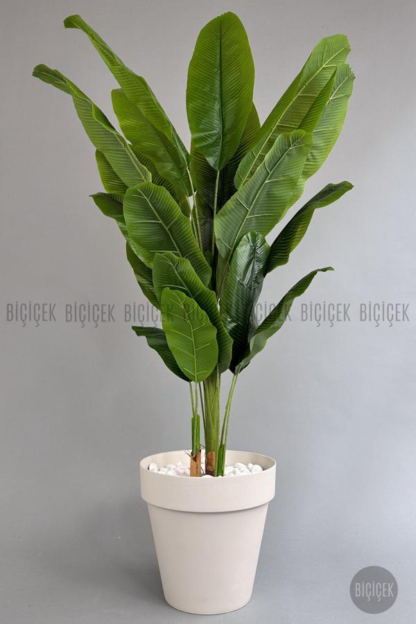 Biçiçek Yapay Ağaç Starliçe Bambu Gövdeli 220Cm Büyük Boy Kırıkbeyaz Renk Yalı Saksıda - Image 1