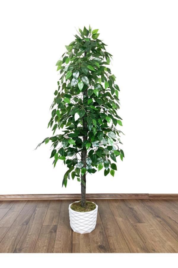 Biçiçek Yapay Benjamin Ağacı 160Cm - Image 1