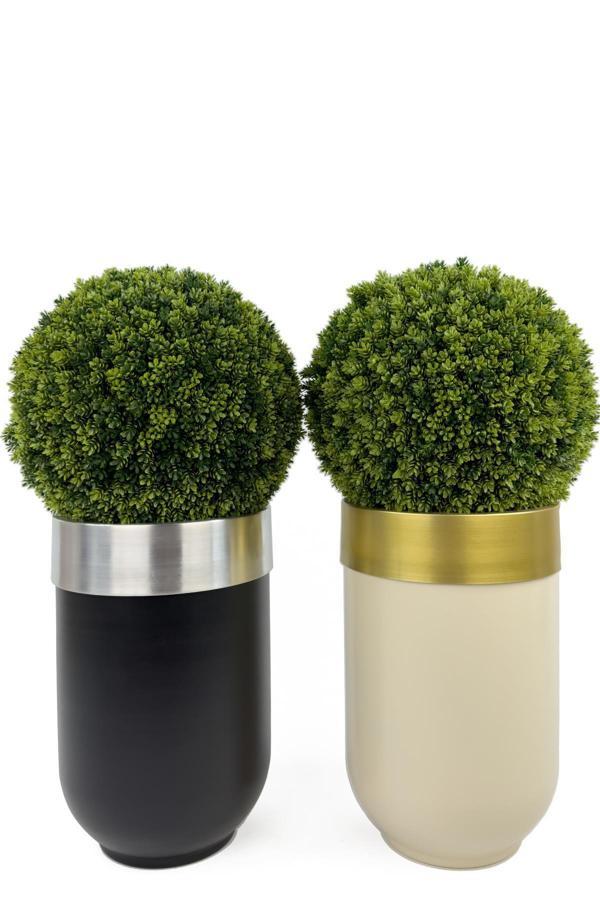 Biçiçek İkili Şimşir Ağacı 90Cm Siyah Ve Krem Darbuka Saksıda - Image 1