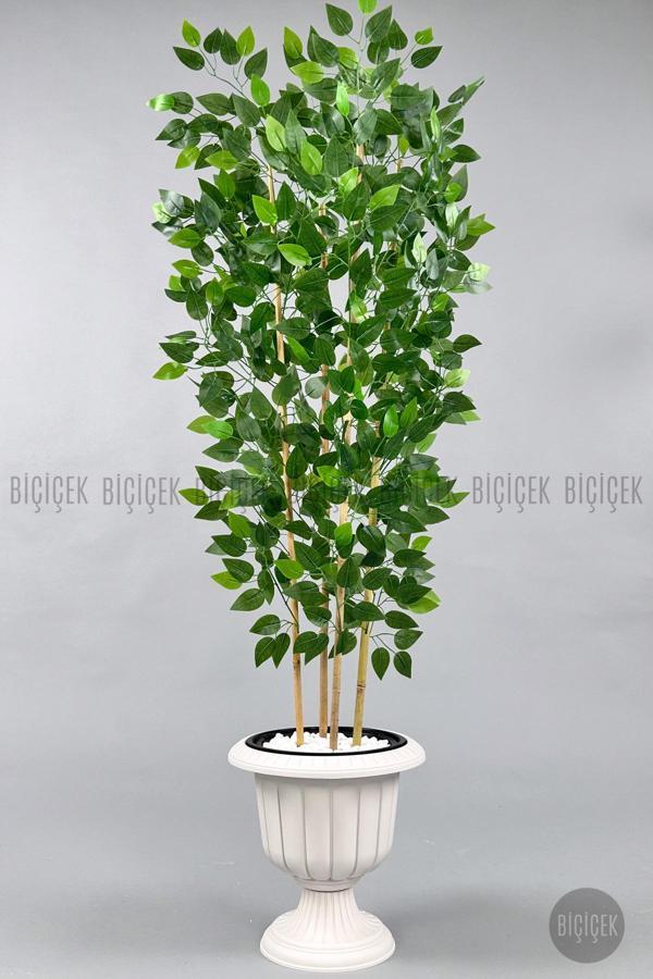Biçiçek Yapay Benjamin Ağacı 170Cm Yoğun Yapraklı Bambu Gövdeli Kırıkbeyaz Renk Nergis Saksıda - Image 1