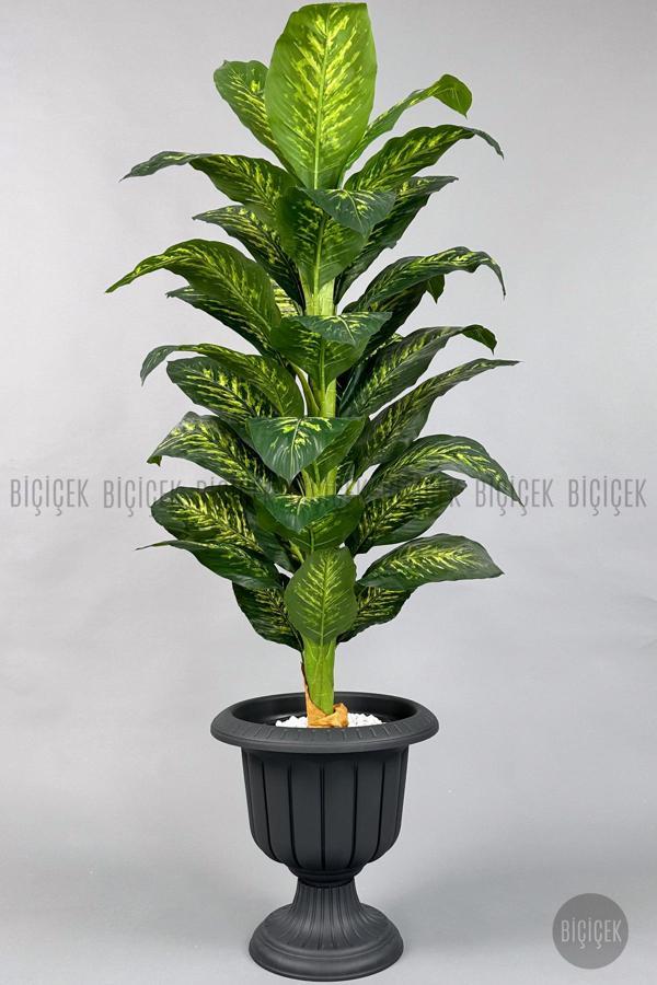 Biçiçek Difenbahya 200 Cm Yapay Bitki Siyah Saksı - Image 1