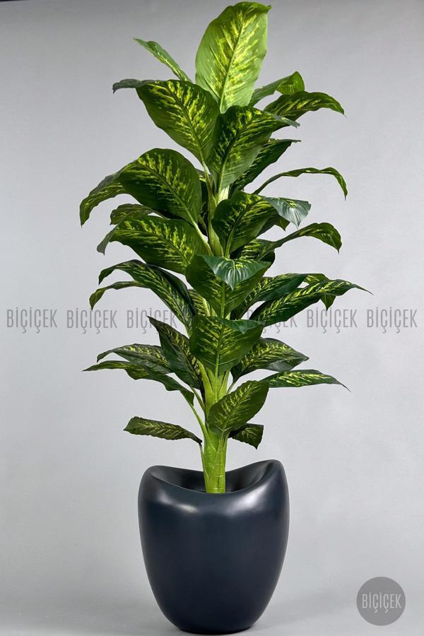 Biçiçek Yapay Difenbahya Ağacı 170-200Cm - Image 1