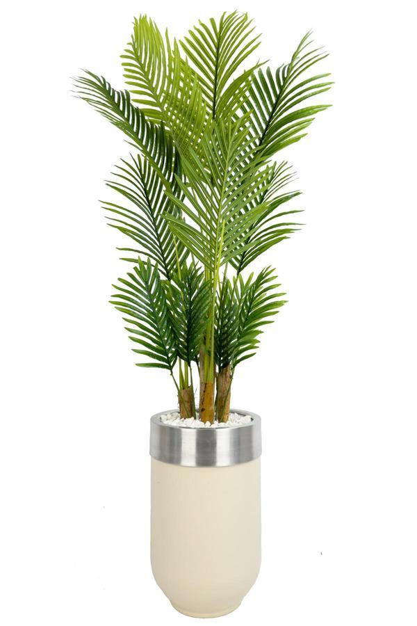 Biçiçek Areka Palmiyesi 160Cm Krem Gümüş Metal Darbuka Saksıda - Image 1