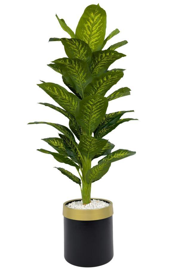 Biçiçek Difenbahya Ağacı 160Cm Siyah Gold Metal Saksıda - Image 1