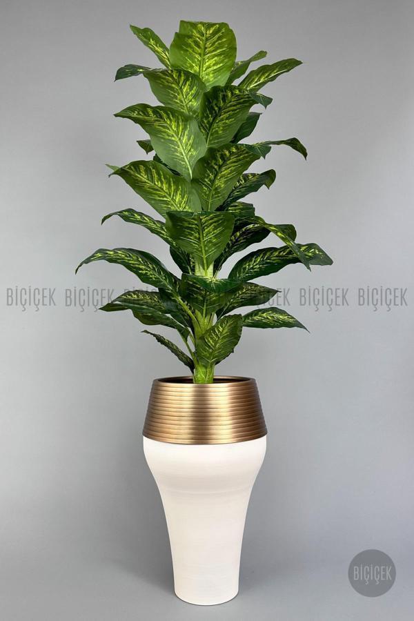 Biçiçek 190 Cm Difenbahya Bitkisi Cleopatra Saksıda Krem Gold - Image 1