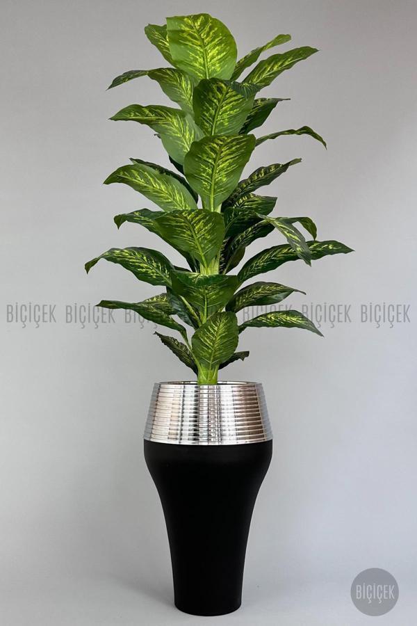 Biçiçek 190 Cm Difenbahya Bitkisi Cleopatra Saksıda Siyah Gümüş - Image 1