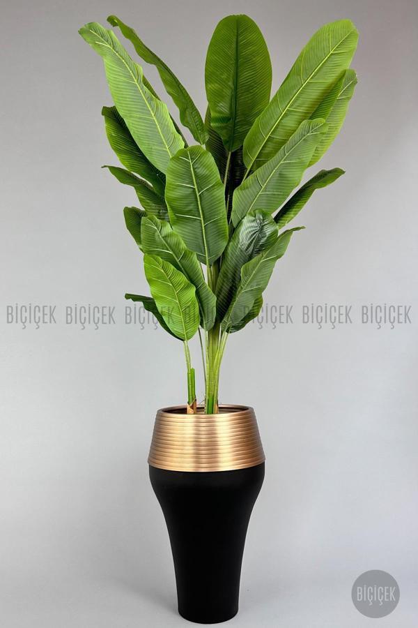 Biçiçek 220Cm Starliçe Bitkisi Cleopatra Saksıda Siyah Gold - Image 1
