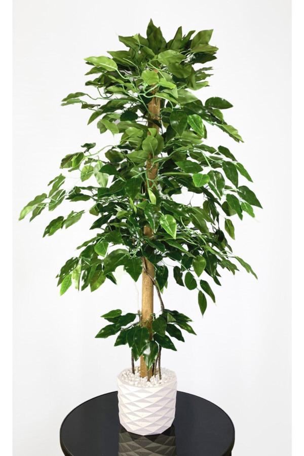 Biçiçek Yapay Benjamin Ağacı 110Cm Sarmaşık Detaylı - Image 1