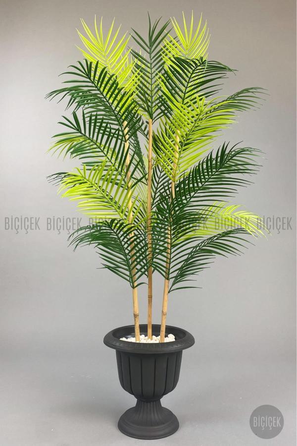 Biçiçek 125Cm Areka Ağacı 24 Yapraklı Nergiz Saksıda - Image 1