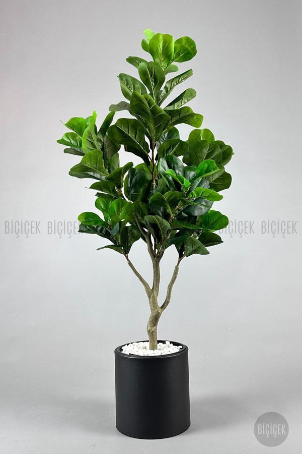 Biçiçek Keman Yapraklı Kauçuk Bitkisi Fiddle Lyrata Metal Saksı - Image 1