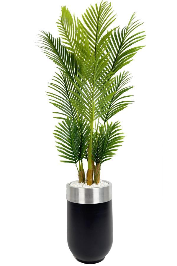 Biçiçek Areka Palmiyesi 160Cm Siyah Gümüş Metal Darbuka Saksıda - Image 1