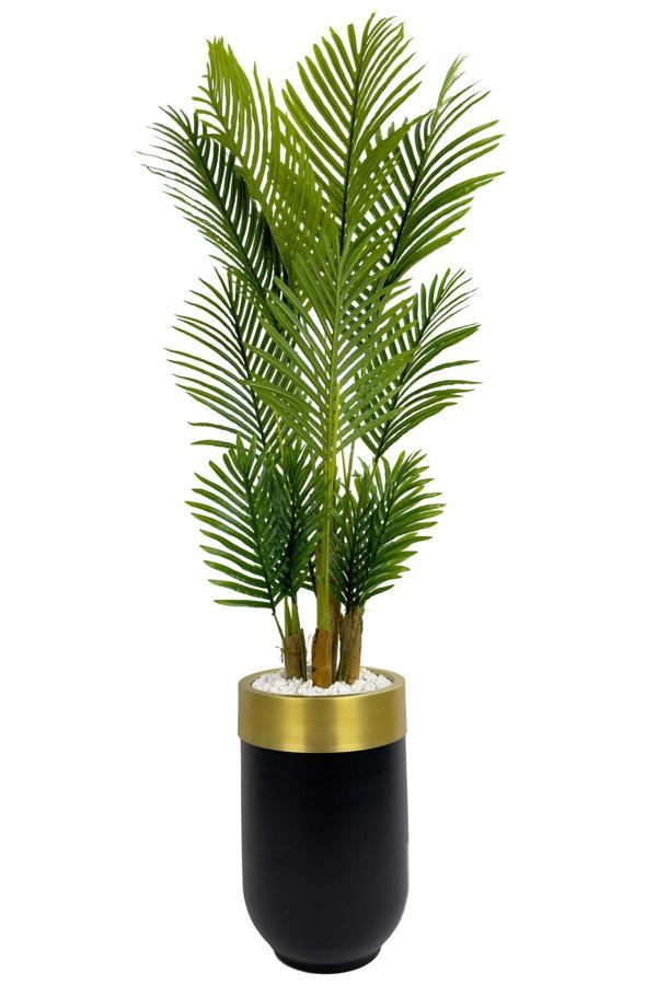 Biçiçek Areka Palmiyesi 160Cm Siyah Gold Metal Darbuka Saksıda - Image 1