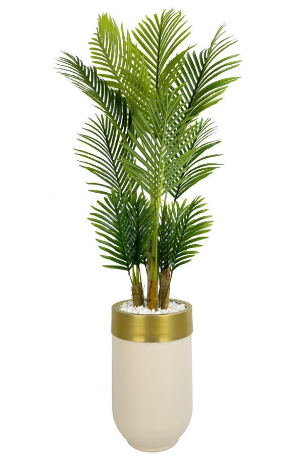 Biçiçek Areka Palmiyesi 160Cm Krem Gold Metal Darbuka Saksıda - Image 1