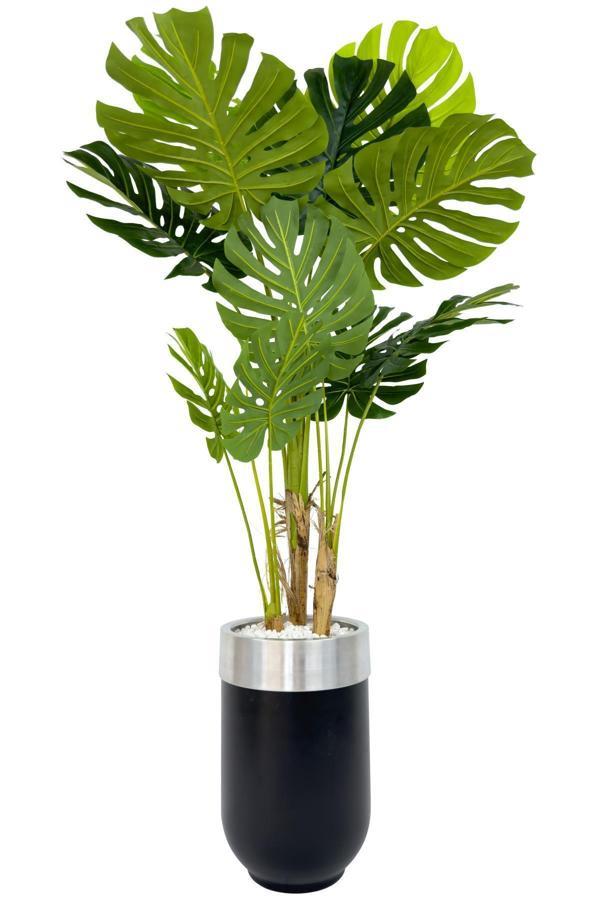 Biçiçek Monstera Ağacı 170Cm Siyah Gümüş Metal Darbuka Saksıda - Image 1