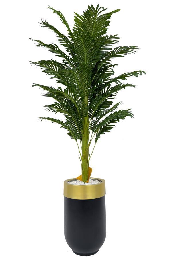 Biçiçek Areka Palmiyesi 170Cm Metal Siyah Gold Darbuka Saksıda - Image 1