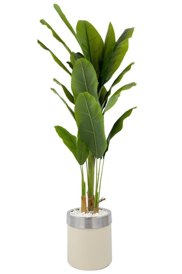 Biçiçek Muz Ağacı 200Cm Krem Gümüş Metal Saksıda - Image 1