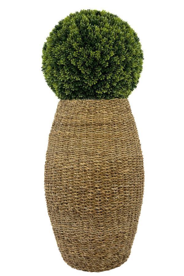 Biçiçek Luxury Şimşir Ağacı 100Cm Hasır Saksıda Bohem5 - Image 1