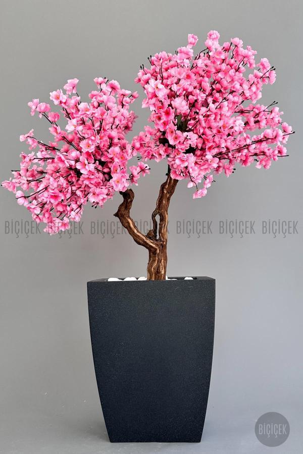 Biçiçek Bonzai Gövdeli Pembe Sakura Ağacı 100Cm Dış Mekana Uygun - Image 1