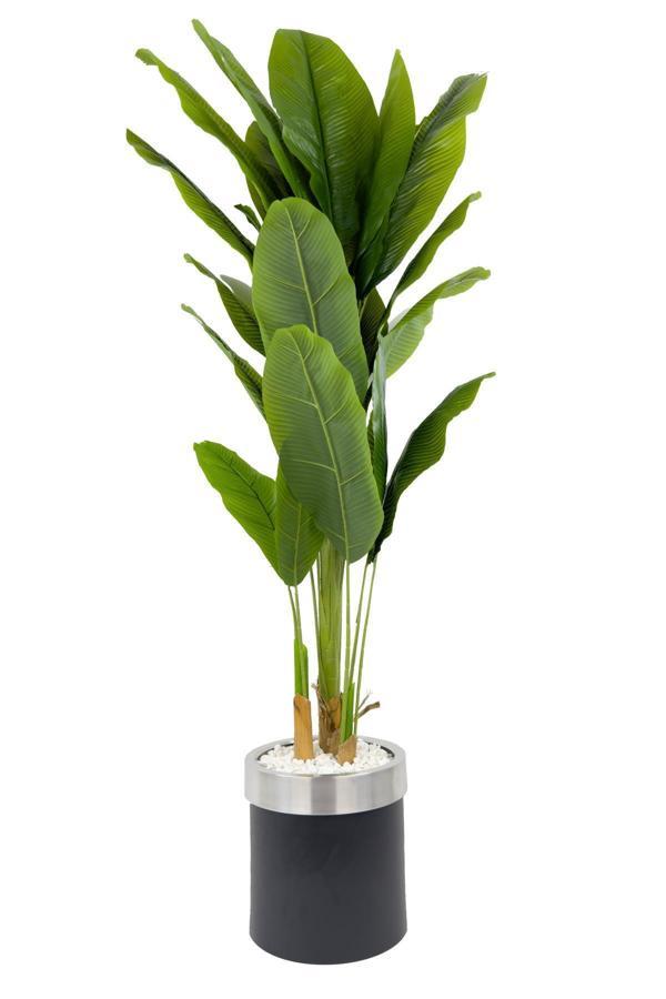 Biçiçek Muz Ağacı 200Cm Siyah Gümüş Metal Saksıda - Image 1