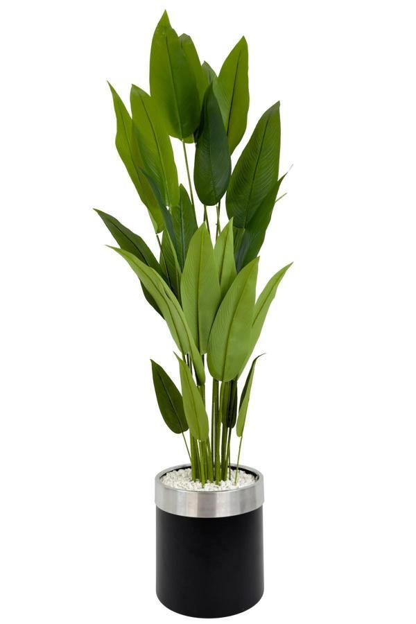 Biçiçek Starliçe 220Cm Metal Siyah Gümüş Saksıda - Image 1