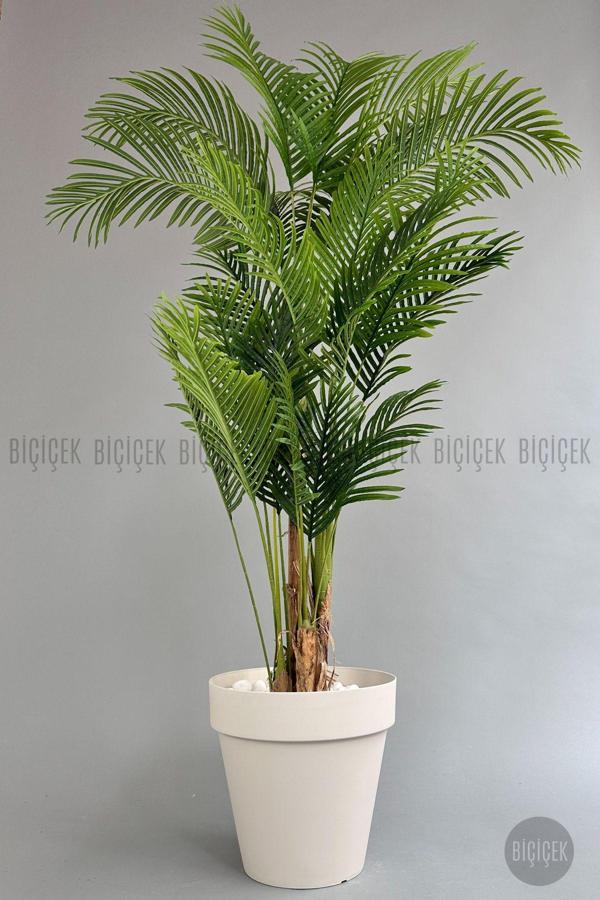 Biçiçek Yapay Areka Ağacı Büyük Boy Palmiye Ağacı 4 Bambu Gövdeli 220Cm Kırıkbeyaz Renk Yalı Saksıda - Image 1